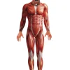 Smiffys Anatomy Man Mens Costume>Men Men's Costumes