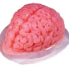 Fun World Brain Jelly Mould> Zombie Apocolypse