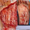 ForensicFX Studios Exposed Foot Ligaments Prosthetic> Halloween Accessories