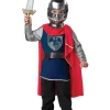 California Costumes Gallant Knight Boys Toddler Costume>Kids Kids Costumes