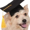 Rubies Graduation Hat Pet Costume> Halloween Hats