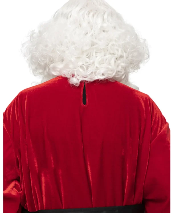 * Santa Professional Wig And Beard Set> Halloween Wigs