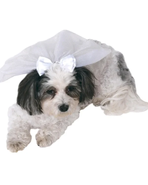 Rubies Wedding Veil Pet Costume> Halloween Hats