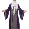 Tomfoolery Wizard Mens Plus Size Costume>Men Men's Costumes