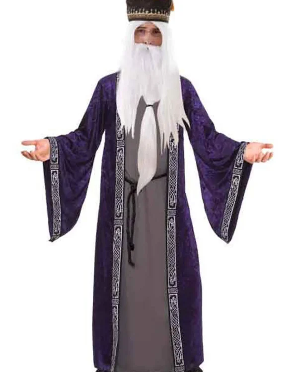 Tomfoolery Wizard Mens Plus Size Costume>Men Men's Costumes